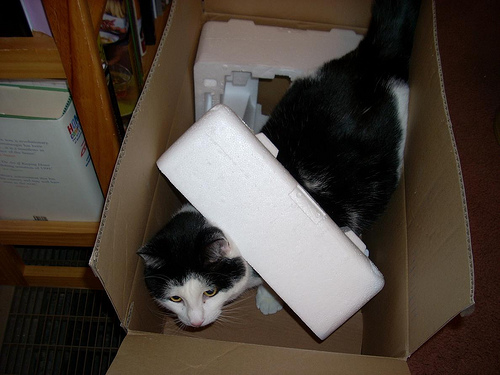 Dewey thinks he's a printer.