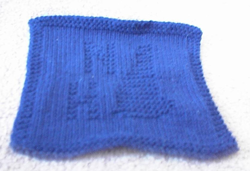 NH Dishcloth - Blue