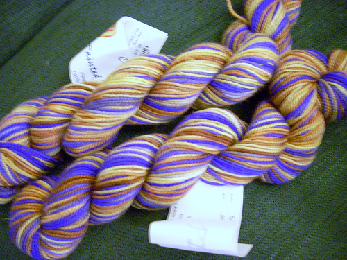 Claudia Hand Painted Bearded Iris