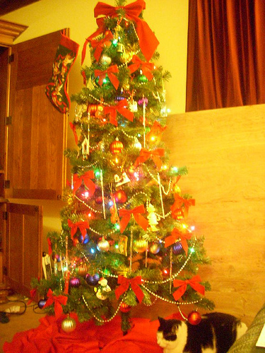 Christmas Tree 2009